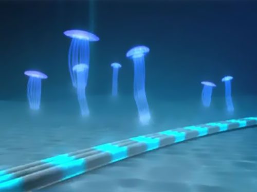 ���_�TȺ�u������|�(xi��ng)Ŀ�@��